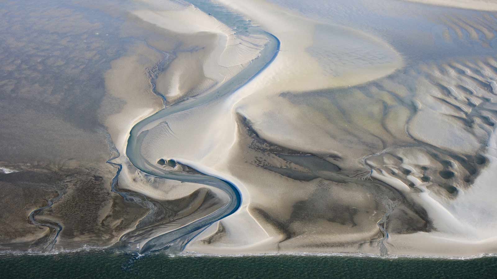 Lustrum: Outdoor Day